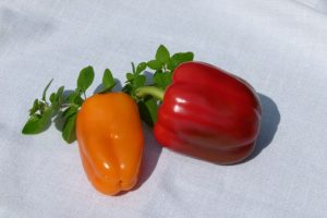 Paprika aus dem eigenen Garten sind Genuss