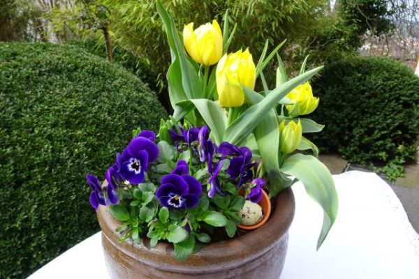 Neue tolle Dekoration Frühling und Ostern. Individuell, einfach und schön!