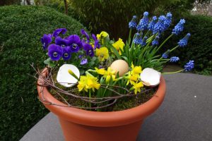 Dekoration Frühling - dekorierter Topf mit Frühlingsblumen
