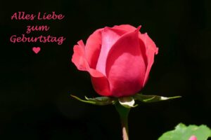 Gedichte mit Glückwünschen für Geburtstag und Namenstag