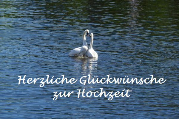 Glückwünsche zur Hochzeit kostenlose Beispieltexte für Karten
